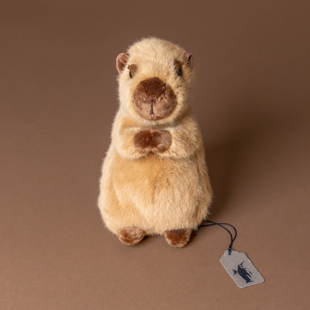 chattie-the-capybara-small-stuffed-animal