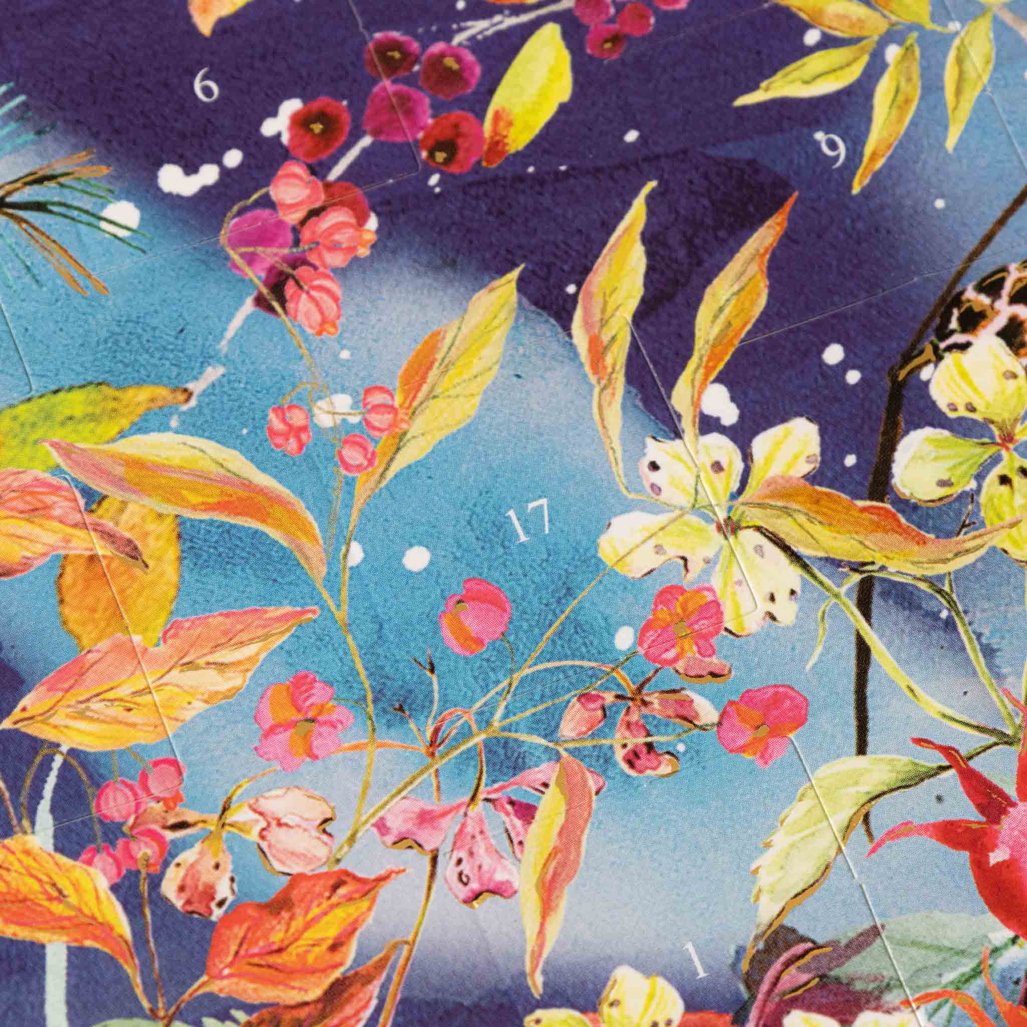 Classic Advent Calendar | Aurora Bears