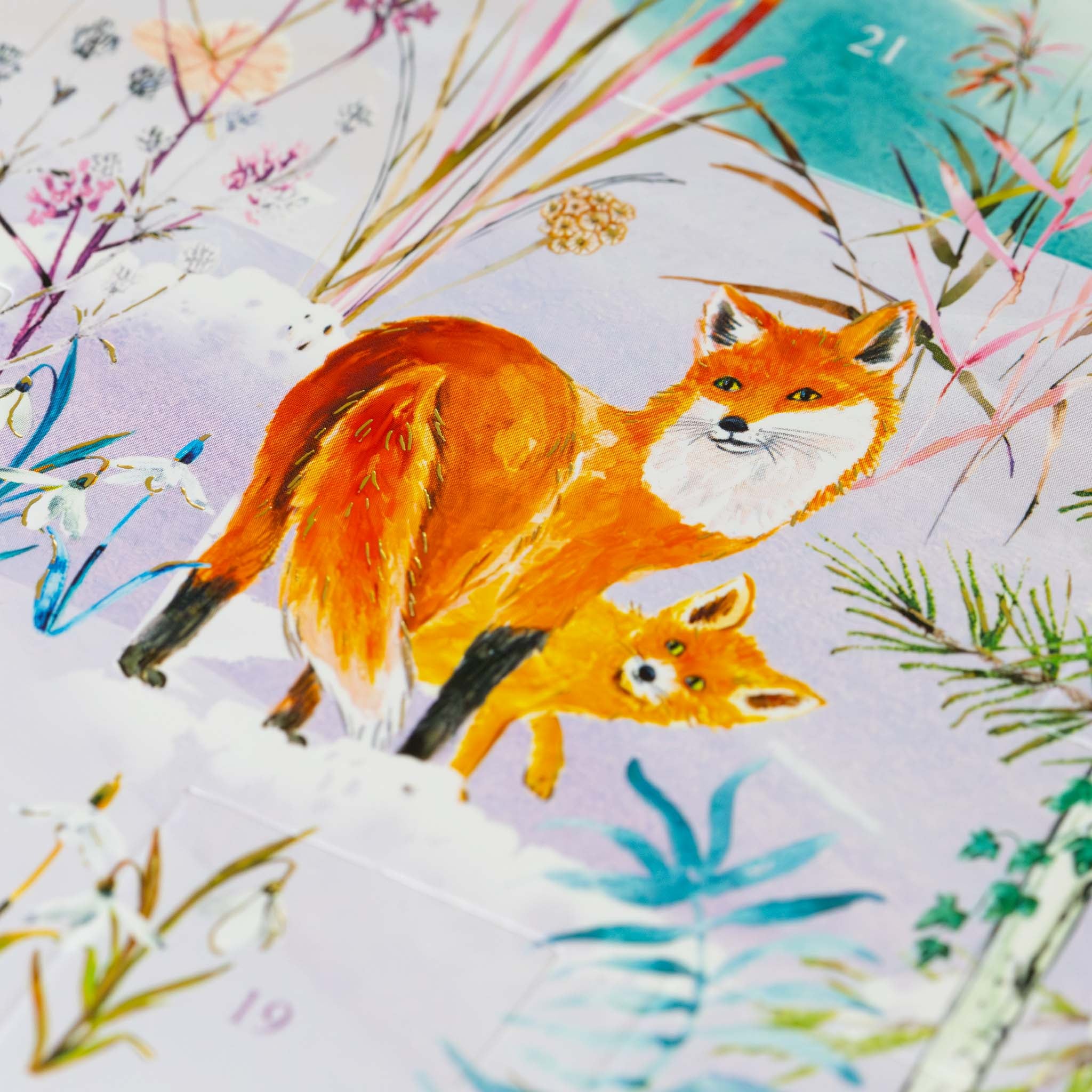 classic-advent-calendar-winter-forest-foxes