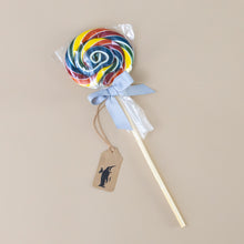 Load image into Gallery viewer, classic-lollipop-rainbow-fruit-large
