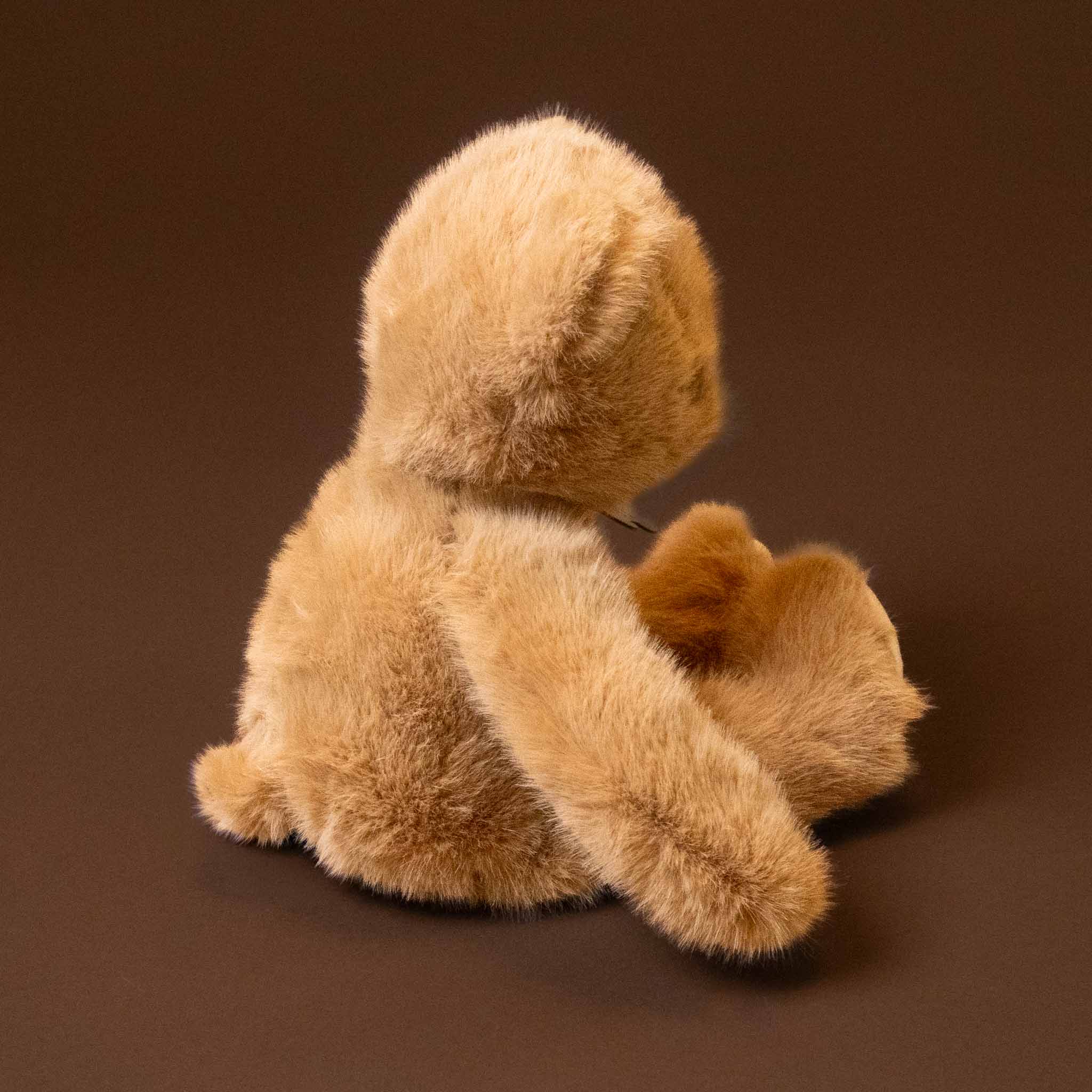clementine-bear-honey-petit stuffed animal