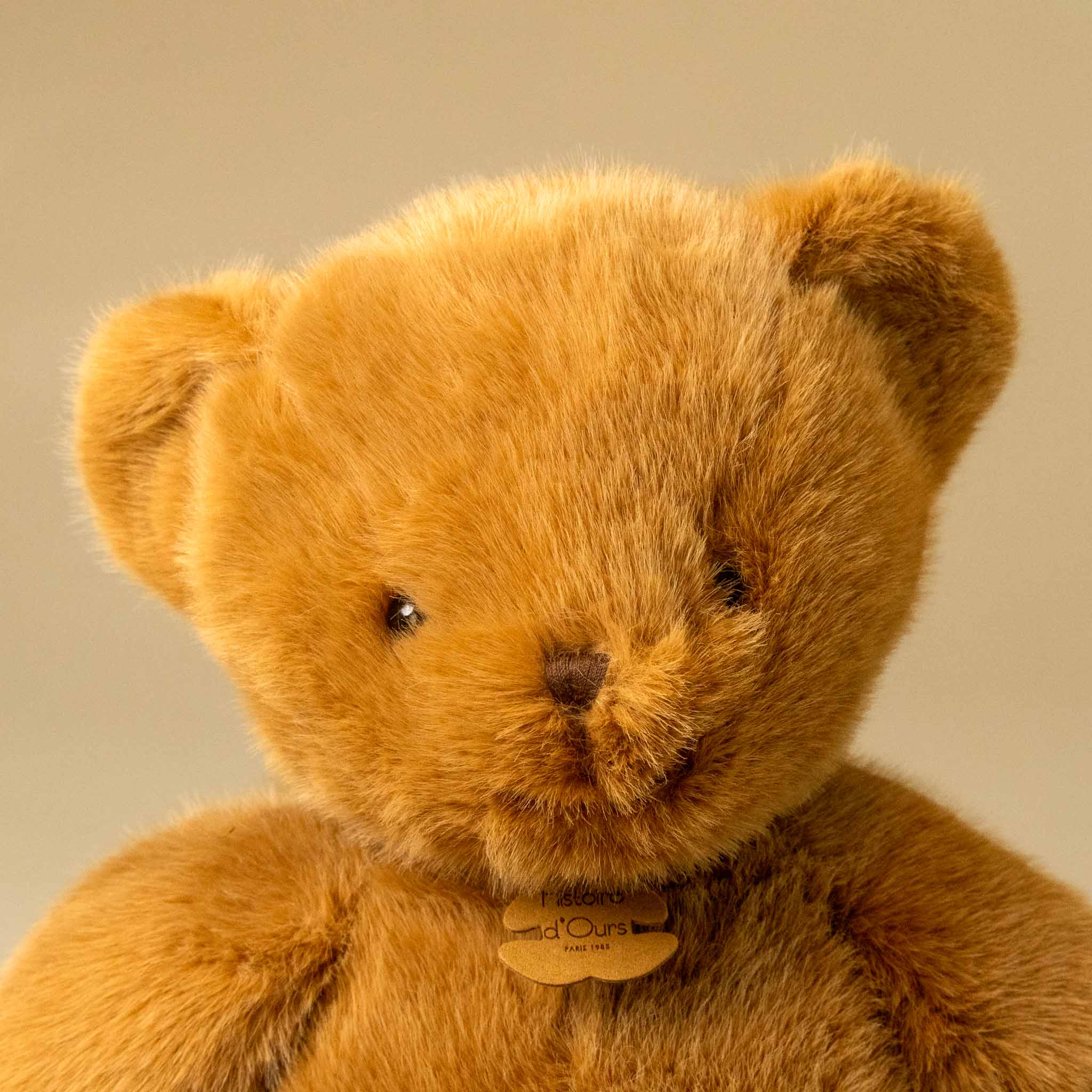 clementine-bear-prailine-grand stuffed-animal