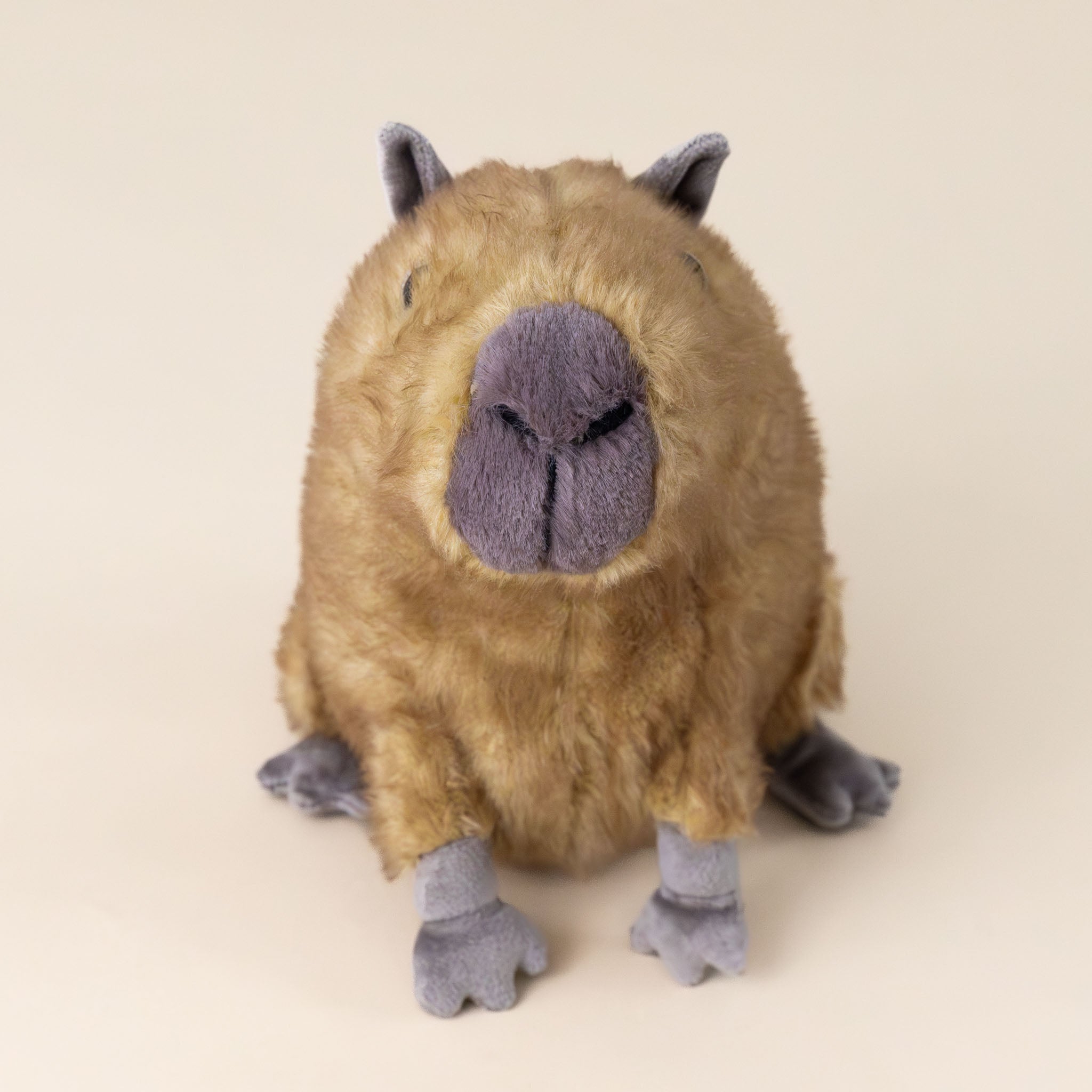 clyde-capybara-with-brown-fur-and-mocha-ears-tail-and-snout-stuffed-animal