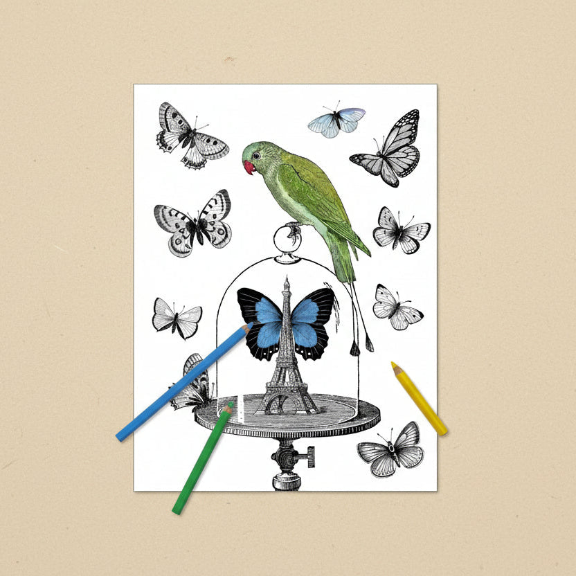 Illustration of a bird, butterfly, and Eiffel Tower with colored pencils on a tan background