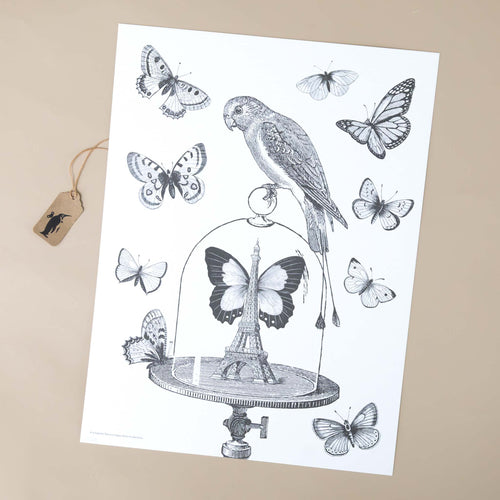 color-your-own-engraving-les-papillons-butterflies-bird-surround-domed-glass-terrarium-housing-eiffel-tower-black-and-white-image