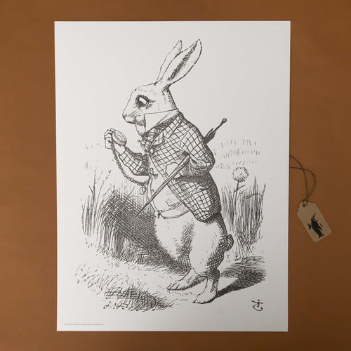 color-your-own-engraving-what-time-is-it-the-white-rabbit-from-alice-in-wonderland-looking-at-his-pocket-watch-black-and-white-image