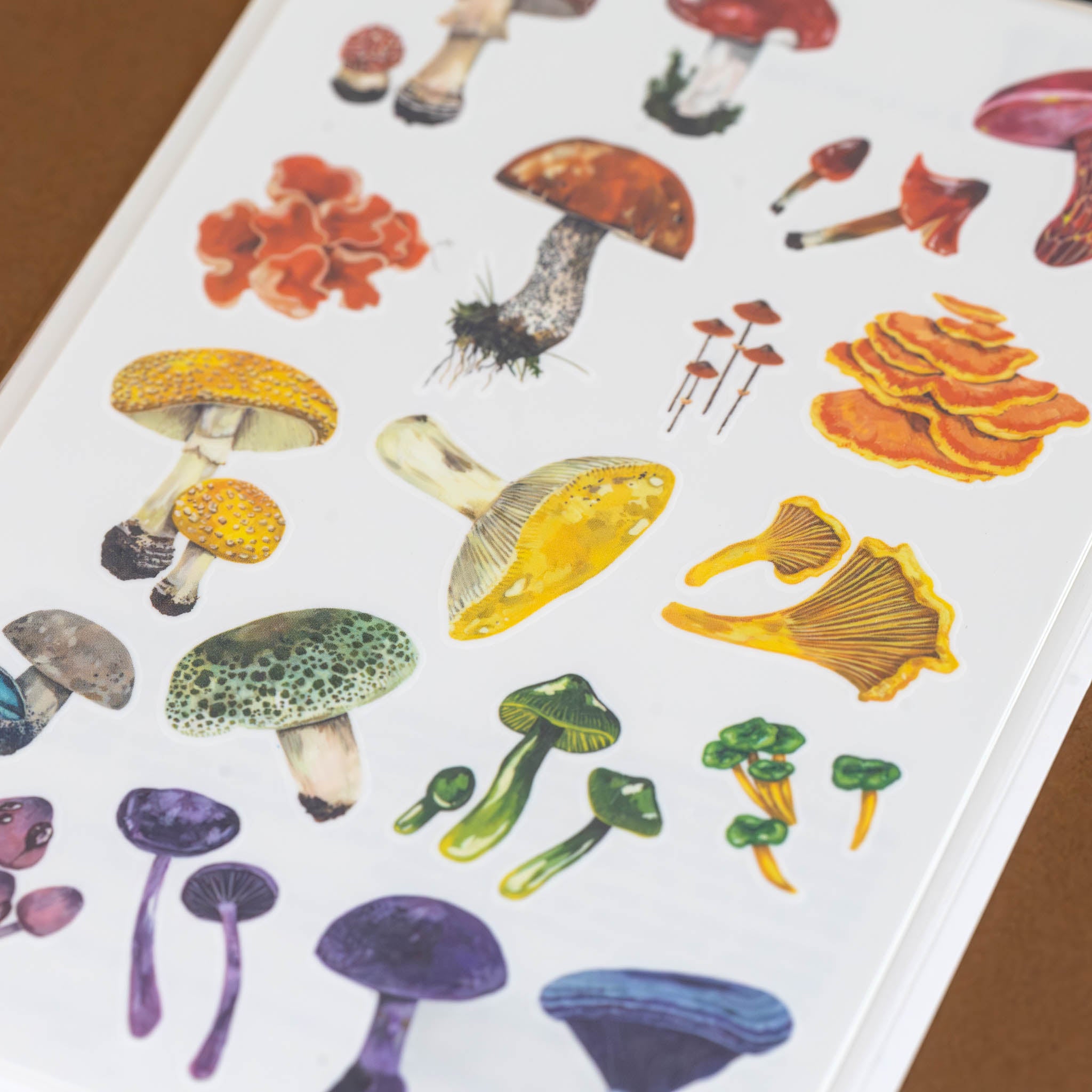 colorful-mushrooms-temporary-tattoo-sheet