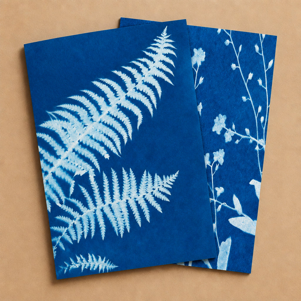 Cyanotype Sun Print Kit
