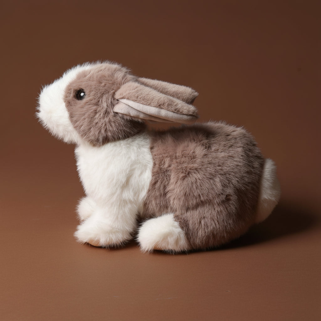 daffodil-the-dutch-rabbit