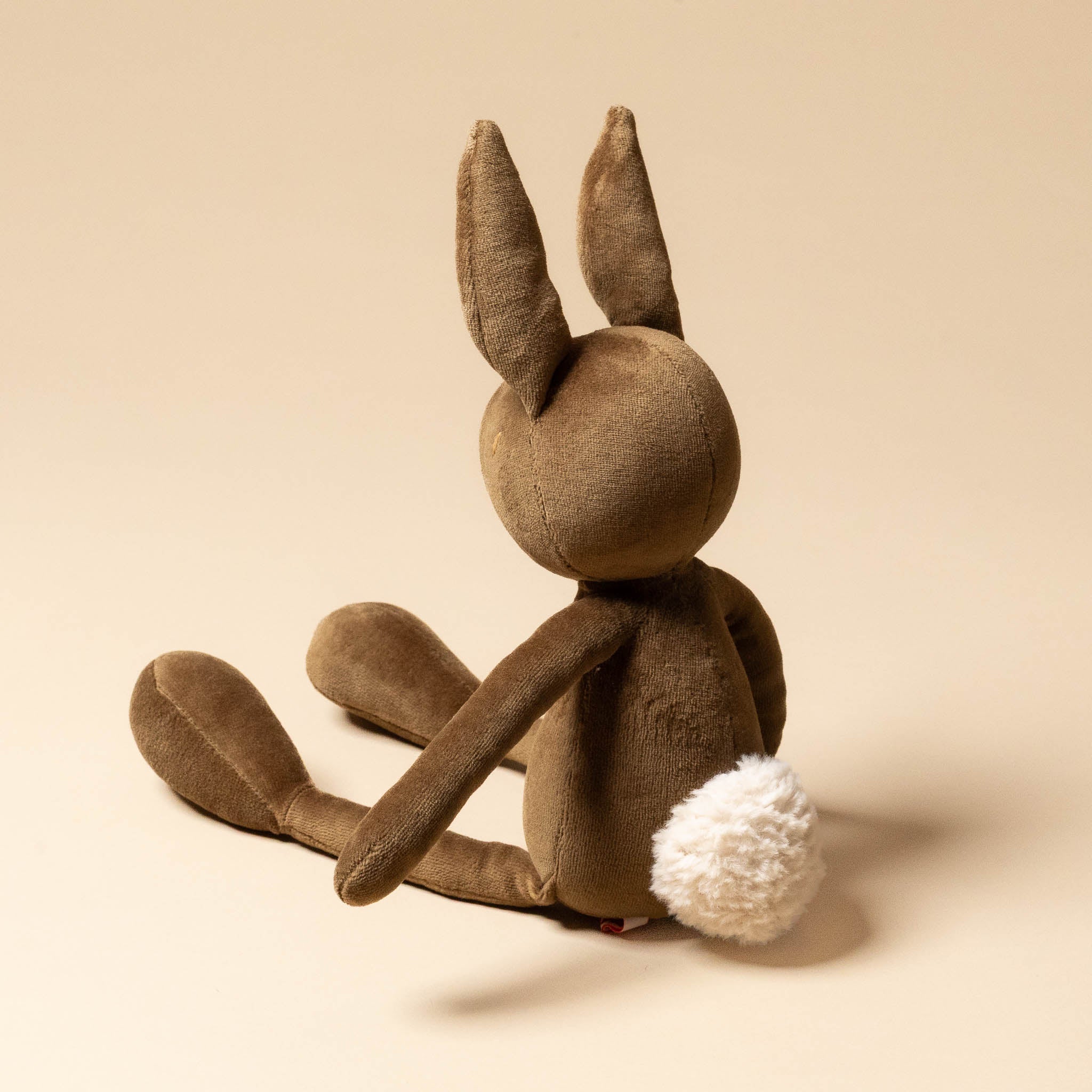 Daniel the Petite Rabbit | Olive