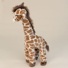 Load image into Gallery viewer, dara-giraffe-stuffed-animal