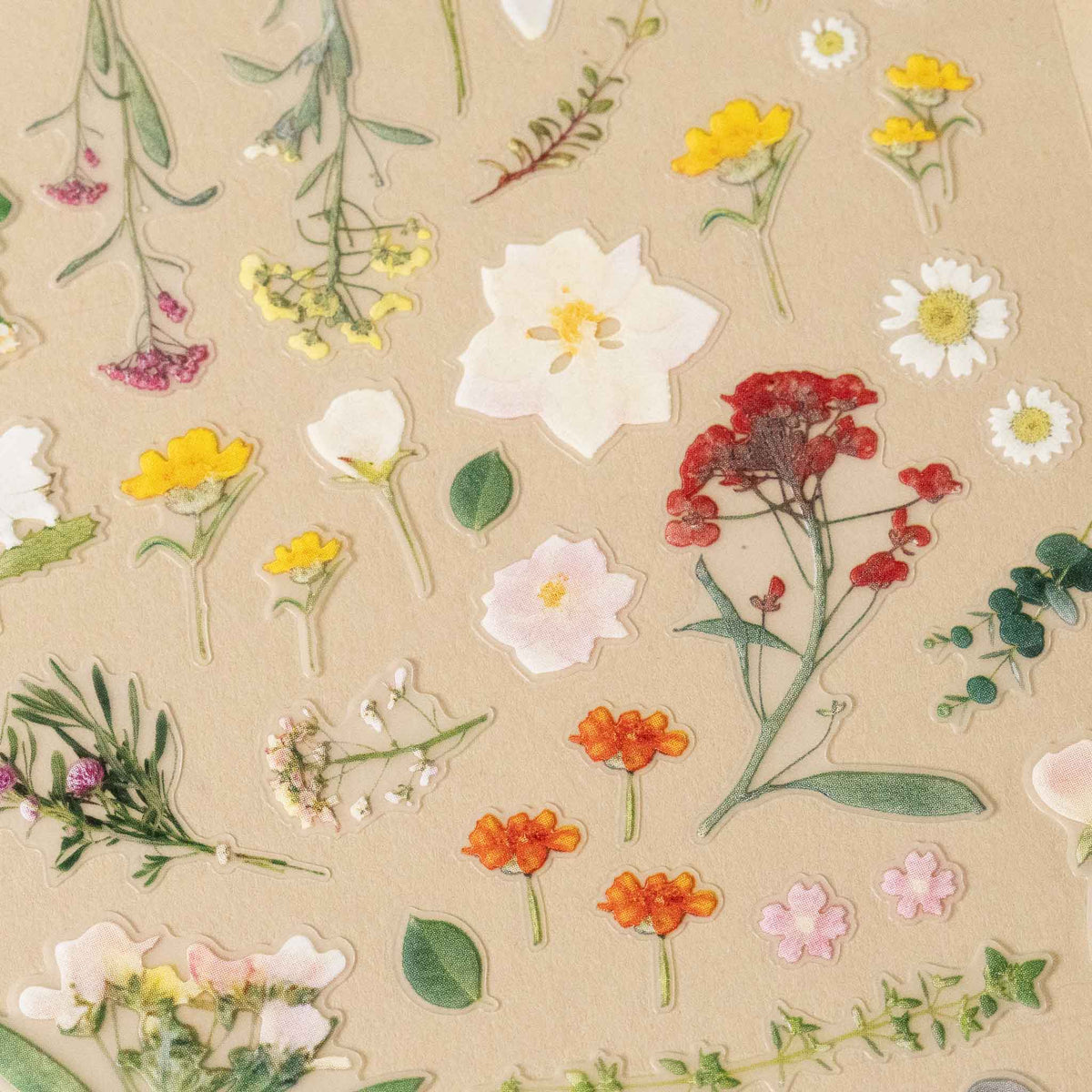 Pattern of various flowers on a beige background