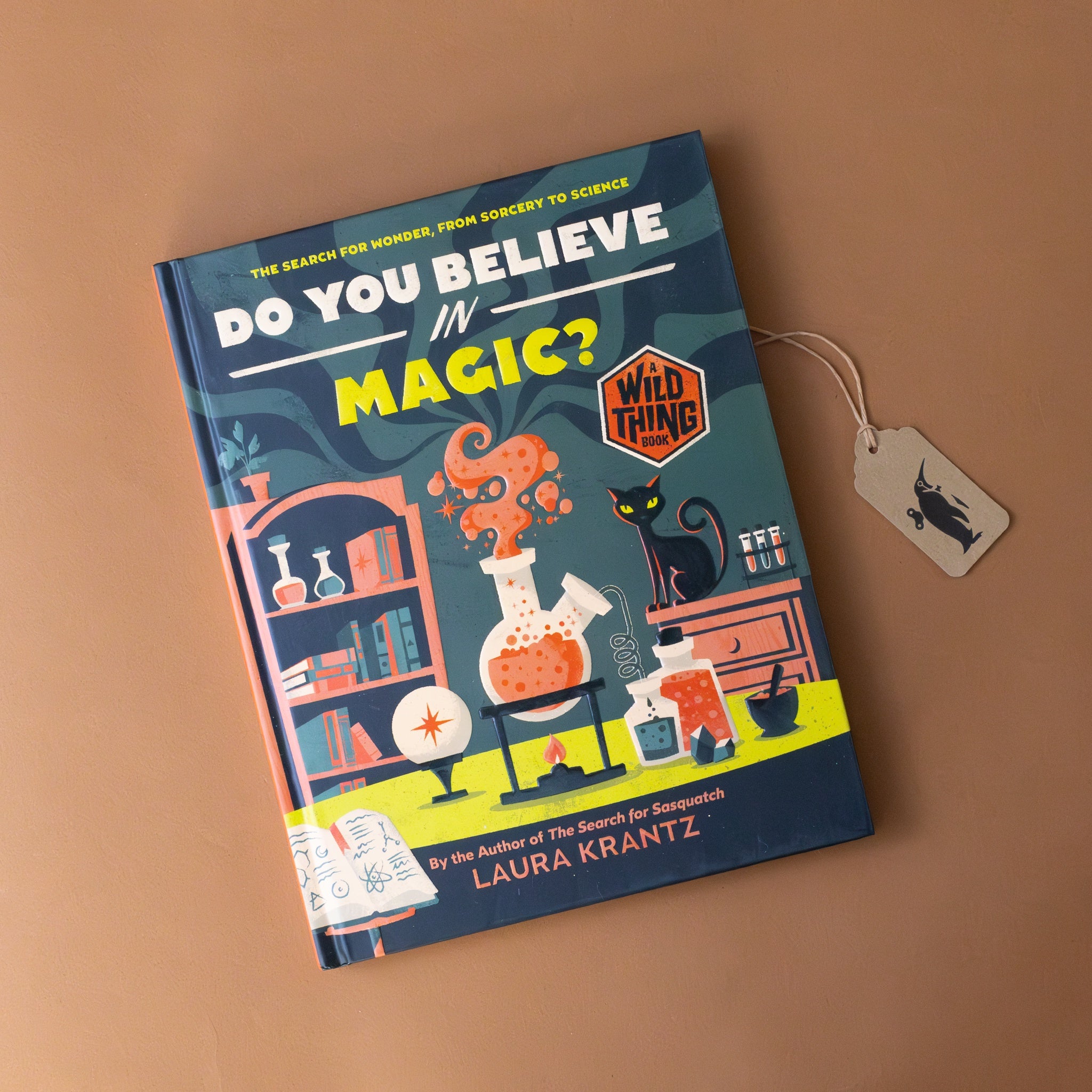 do-you-believe-in-magic-book-with-a-chemistry-set-on-the-cover