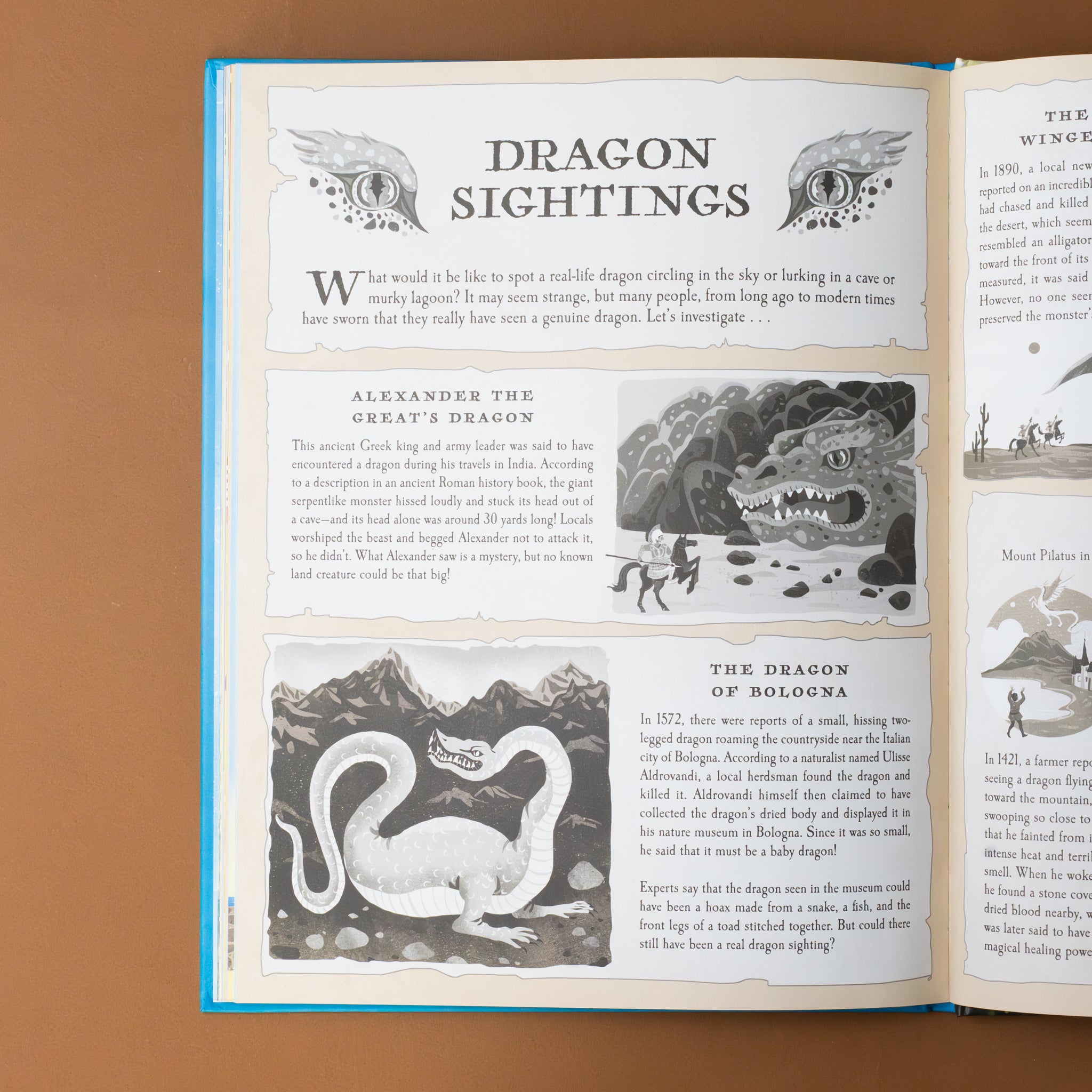 illustration-and-text-about-dragon-sightings