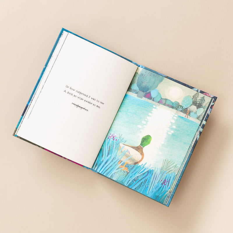 duck-cant-sleep-book open page with duck looking at a pond