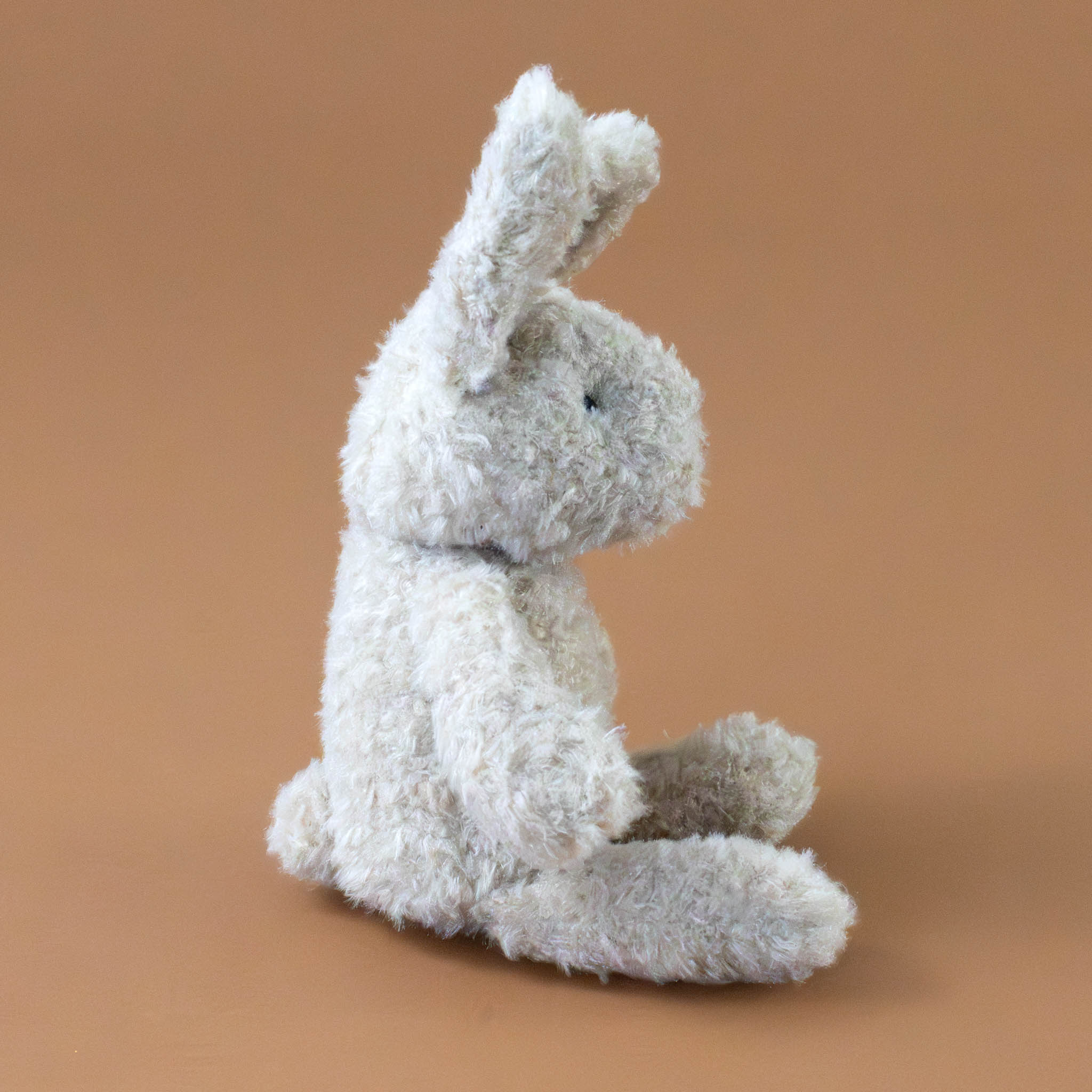 Emile the Rabbit | Medium