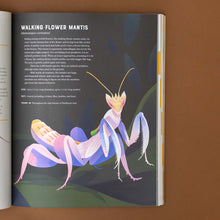 Load image into Gallery viewer, walking-flower-mantis-illustration-and-text