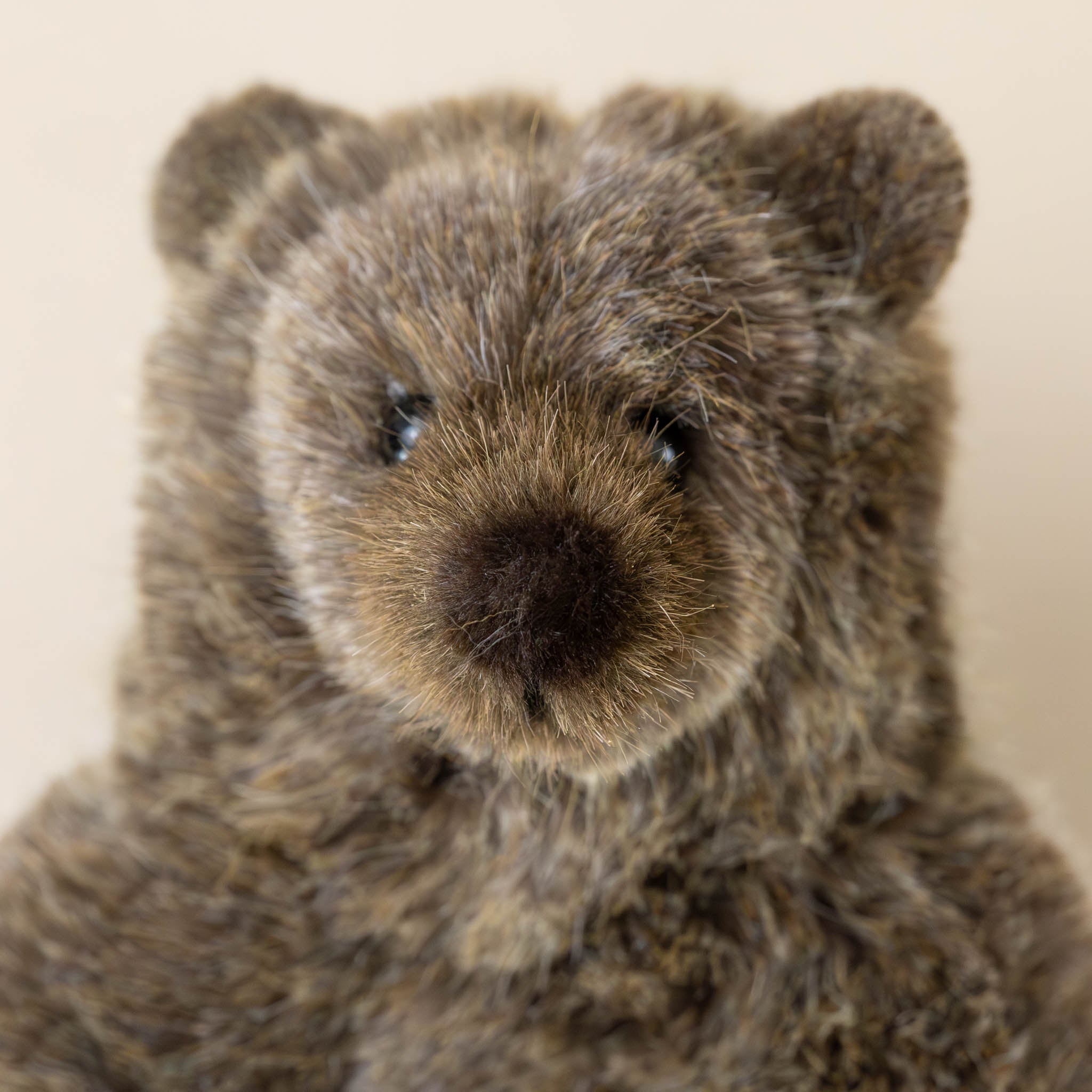 bark-colored-fur-ergraut-the-grizzly-bear-standing-face-with-multi-colored-snout