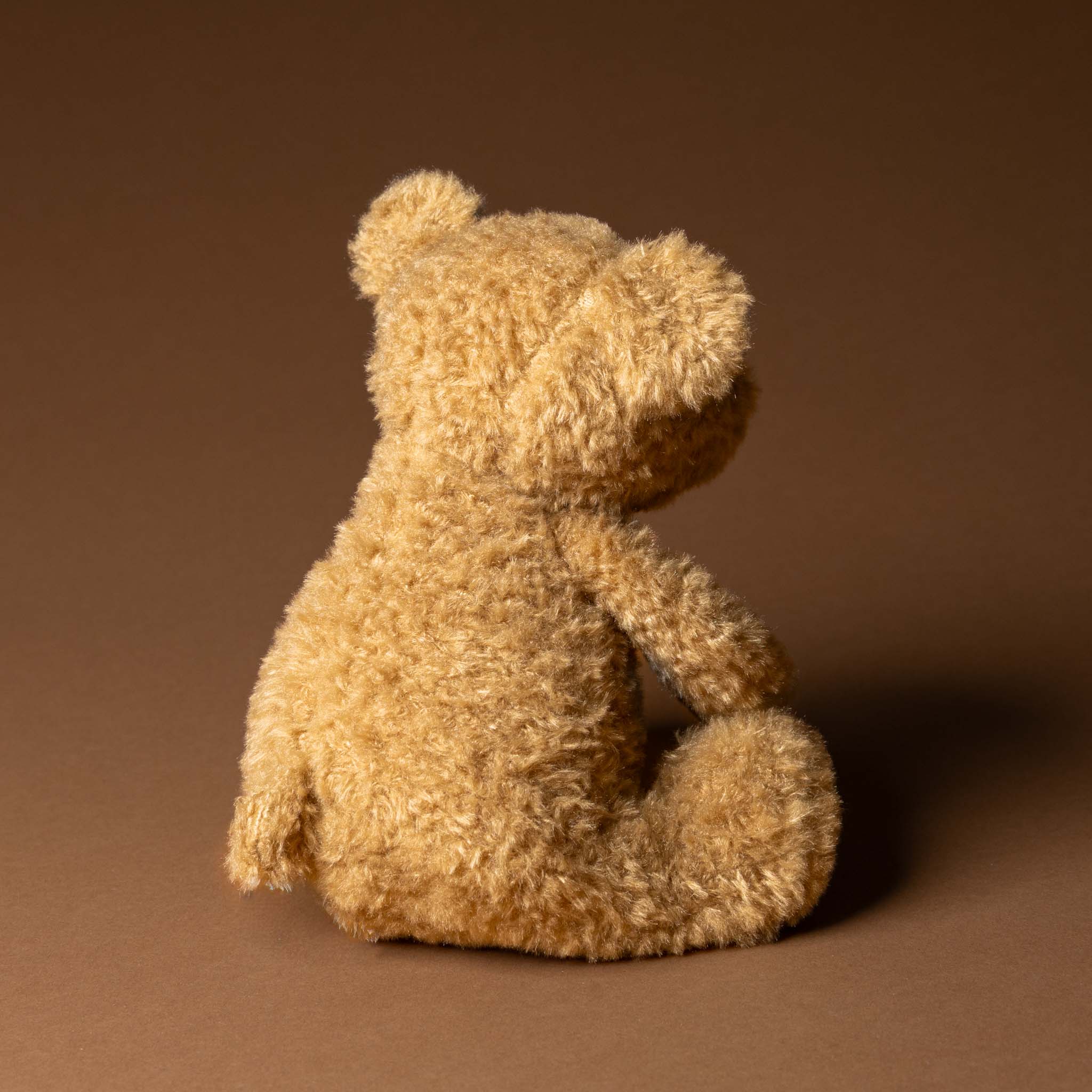 eustache-bear-grande Brown teddy bear sitting on a brown background