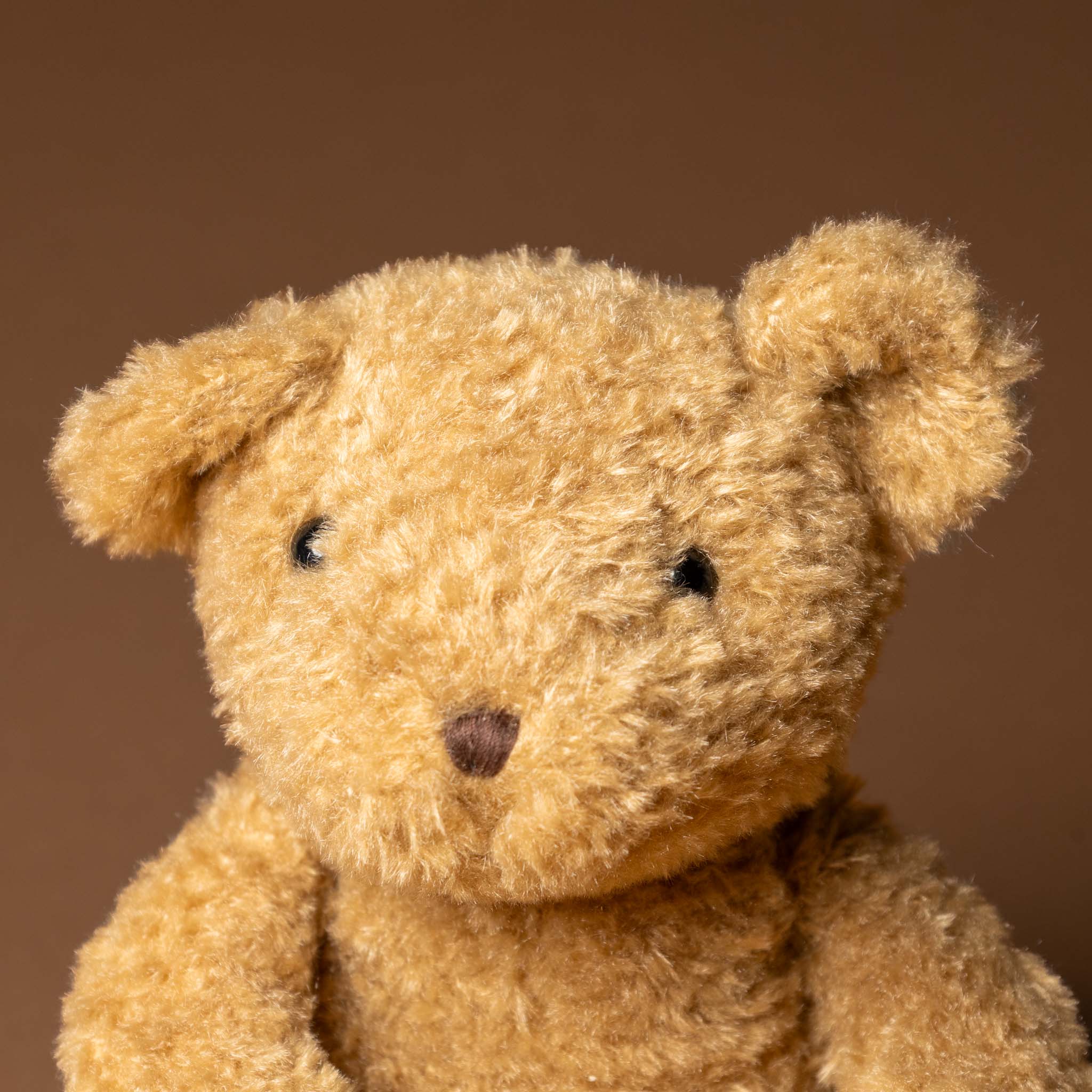 eustache-bear-grande Close-up of a brown teddy bear against a brown background