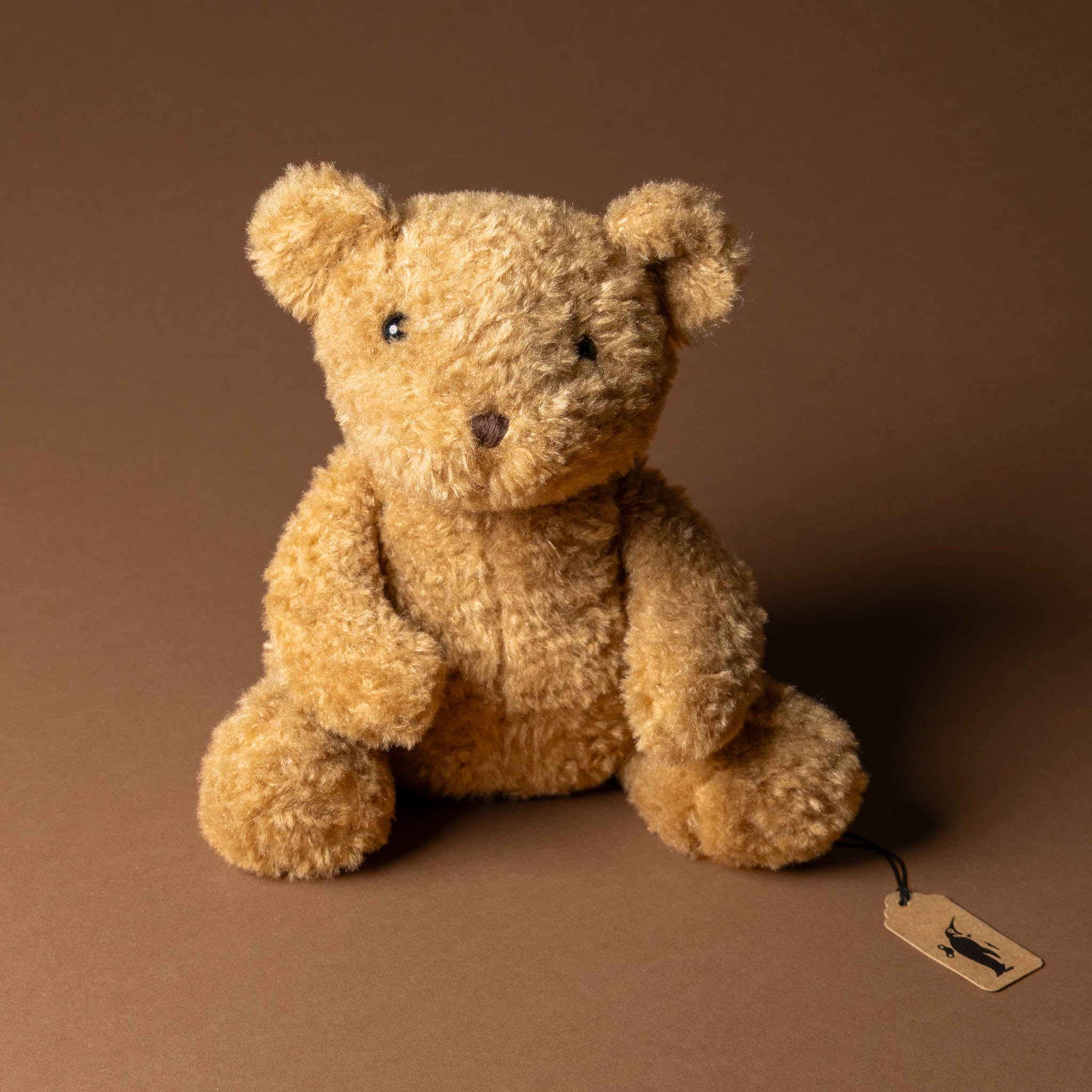 eustache-bear-grande Brown teddy bear with a tag on a brown background