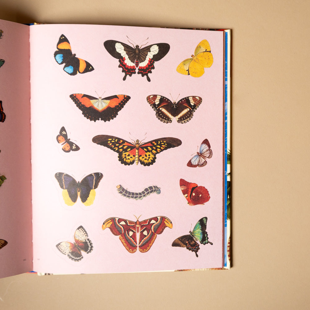 extraordinary-things-sticker-book- with illustrations of butterflies on a pink background