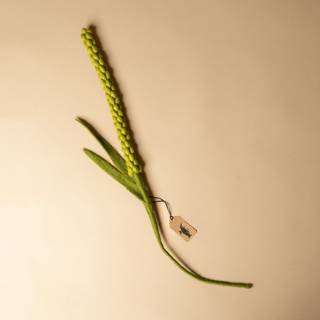 felt-amaranth-stem-green