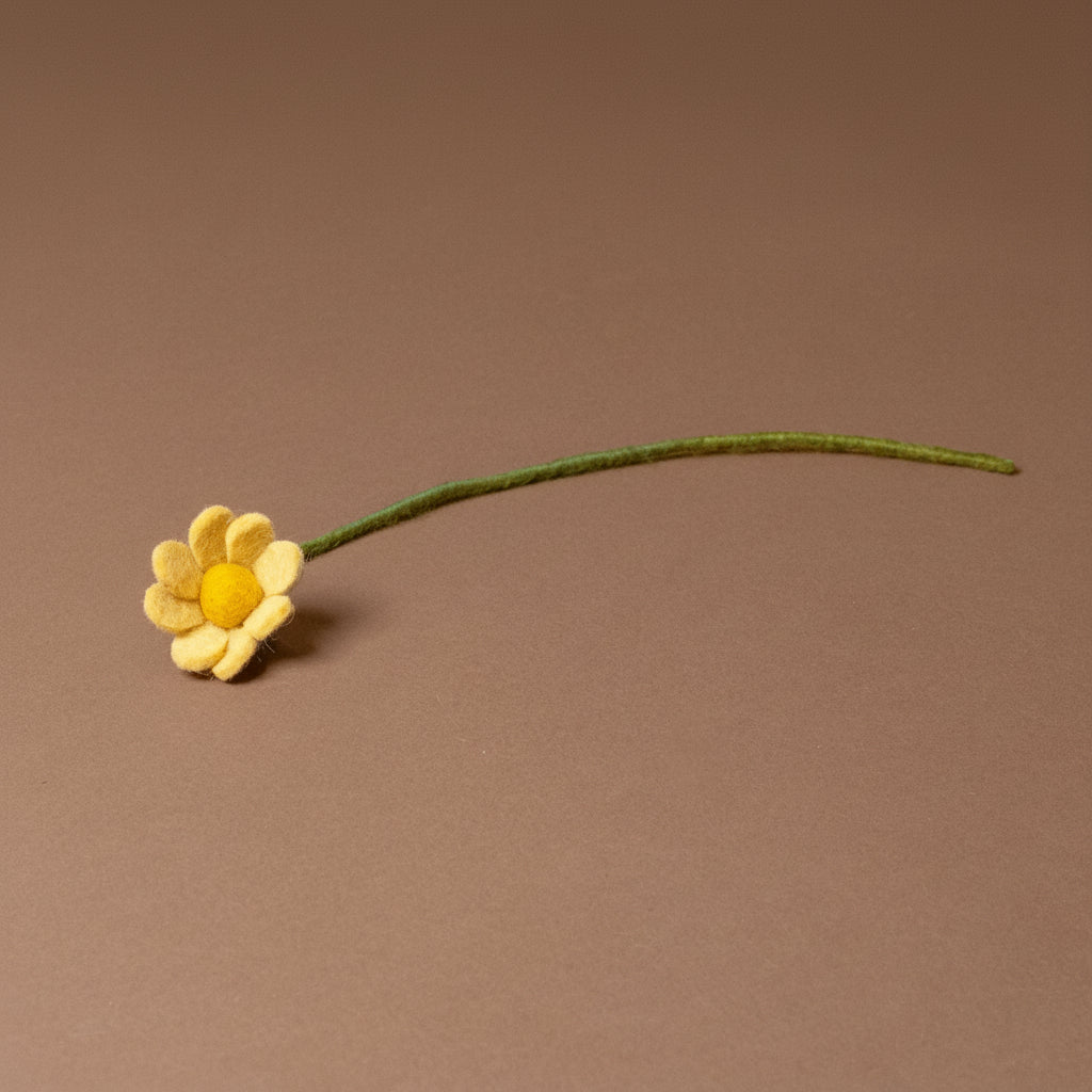 felt-anemone--butter