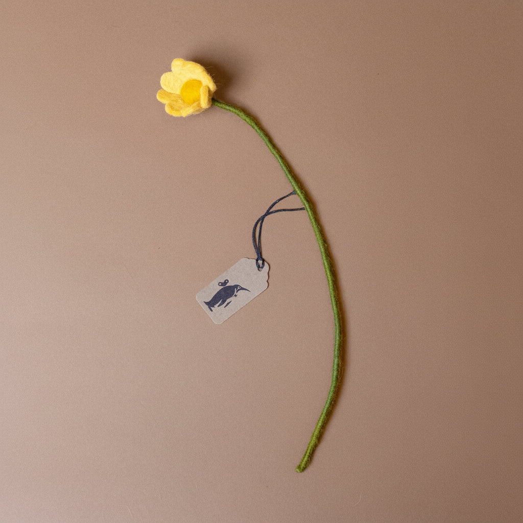 felt-anemone--butter