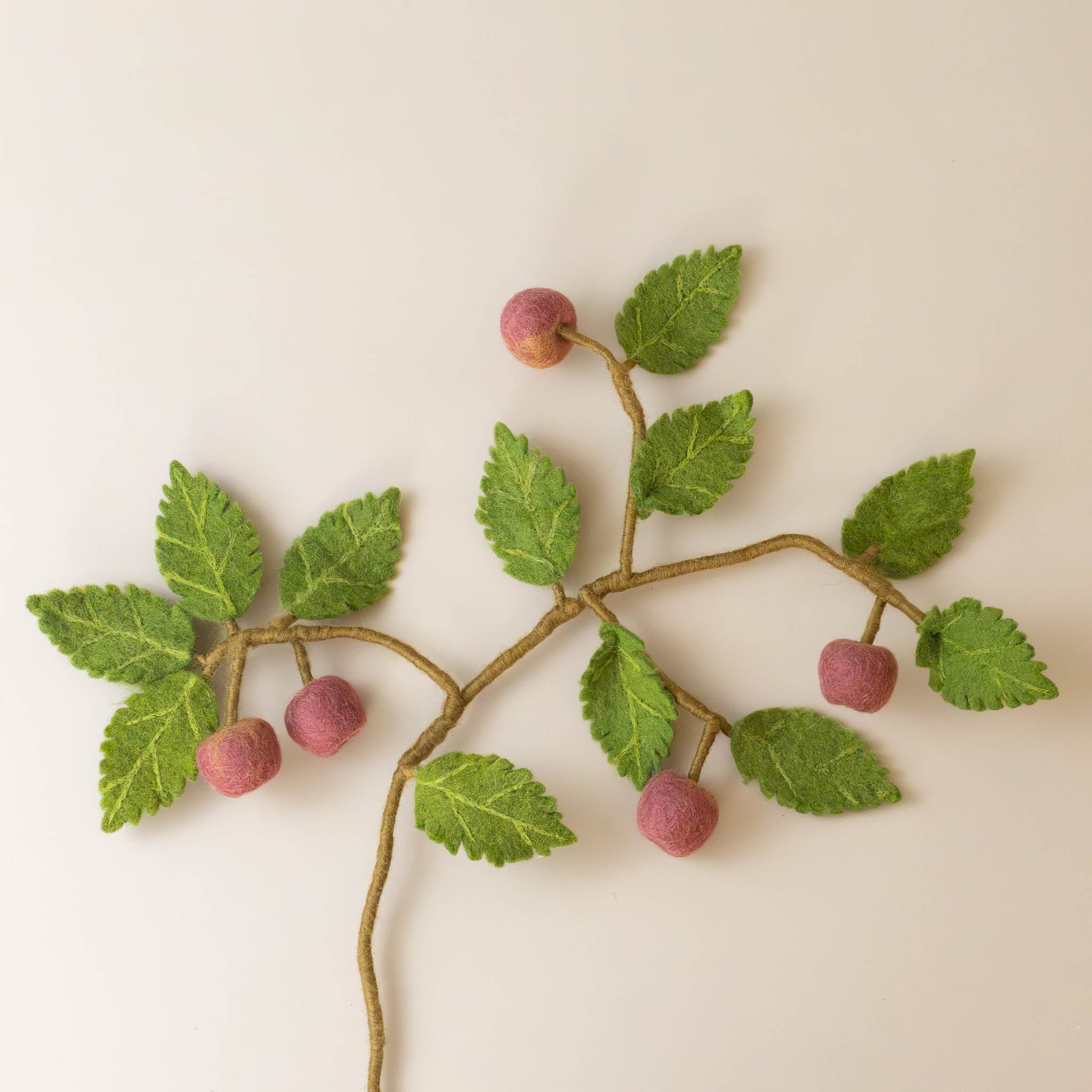 felt-apple-branch-honey-crisp-apples