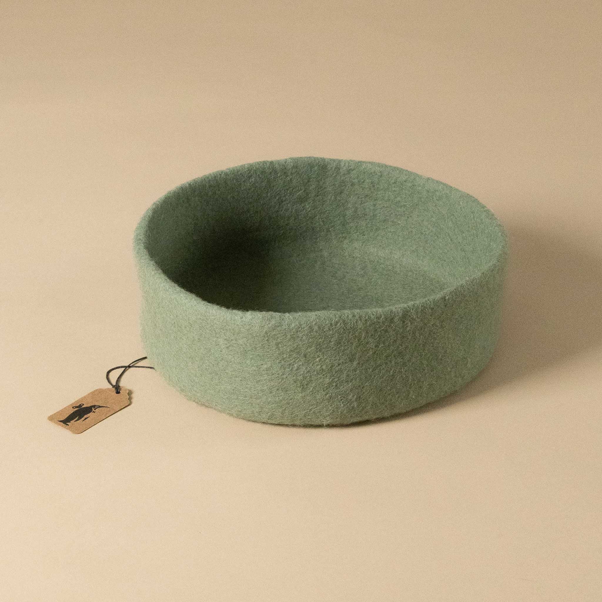felt-dish-mint-green-large