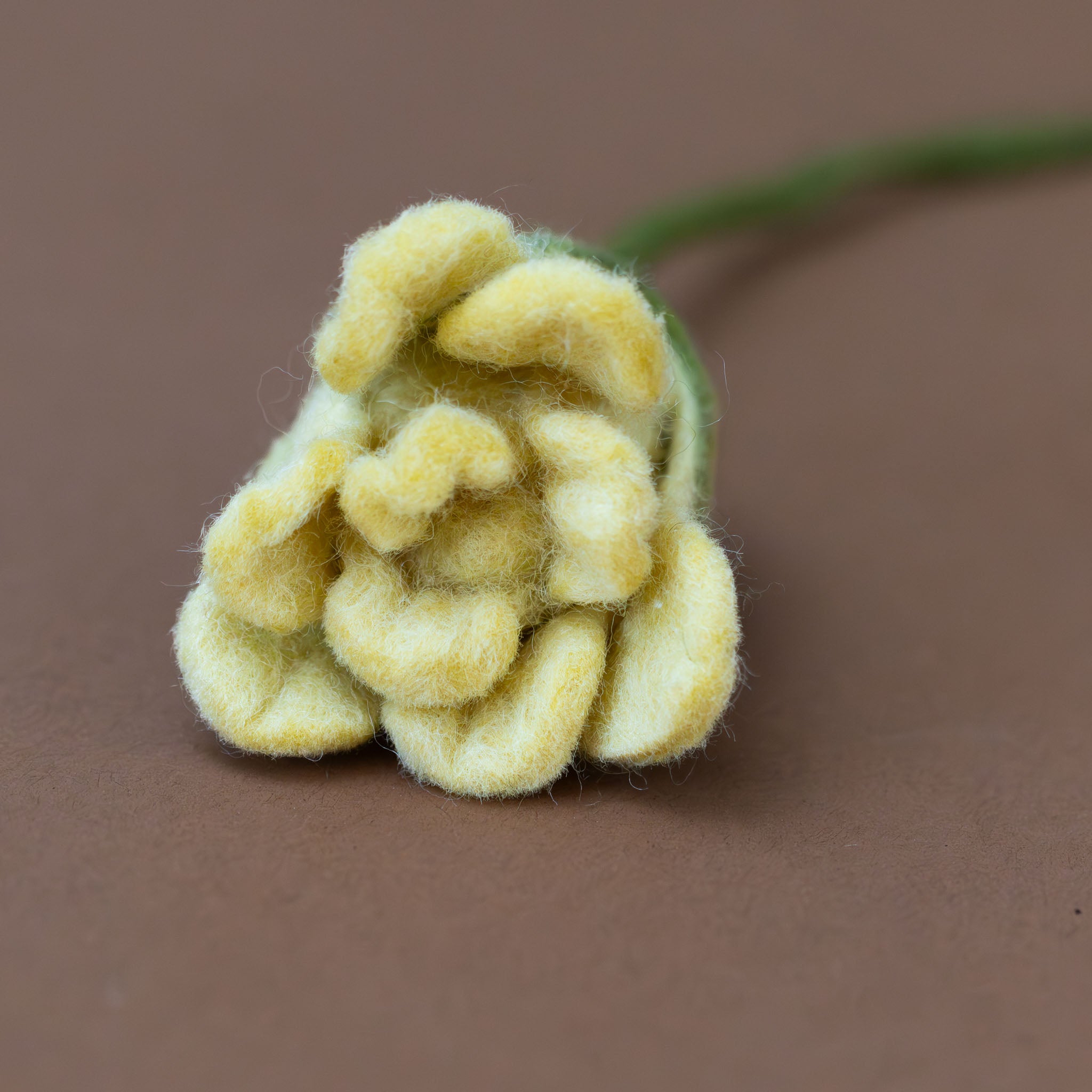 felt-tulip-butter-close-up-petals