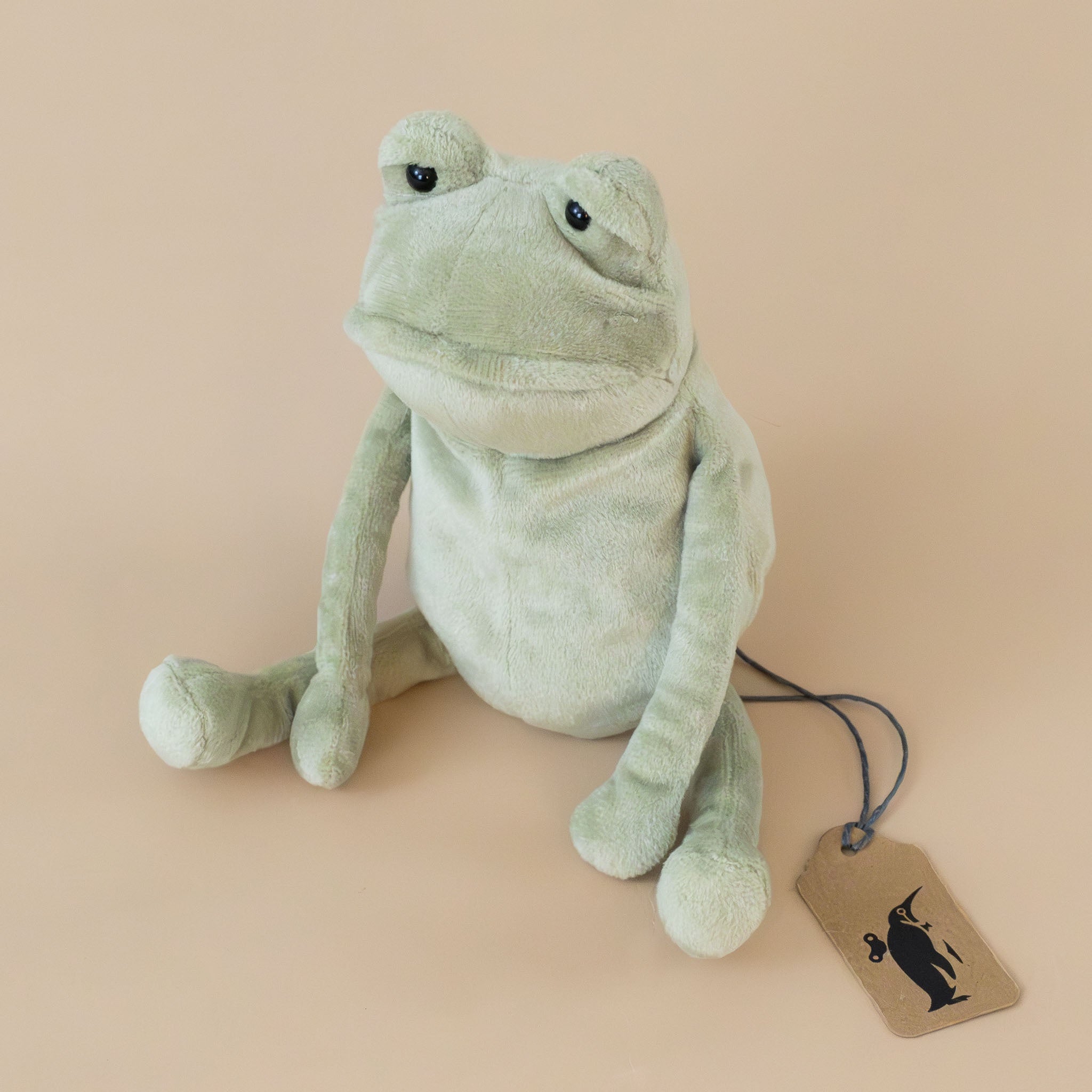 soft-green-fergus-the-frog-small-stuffed-animal