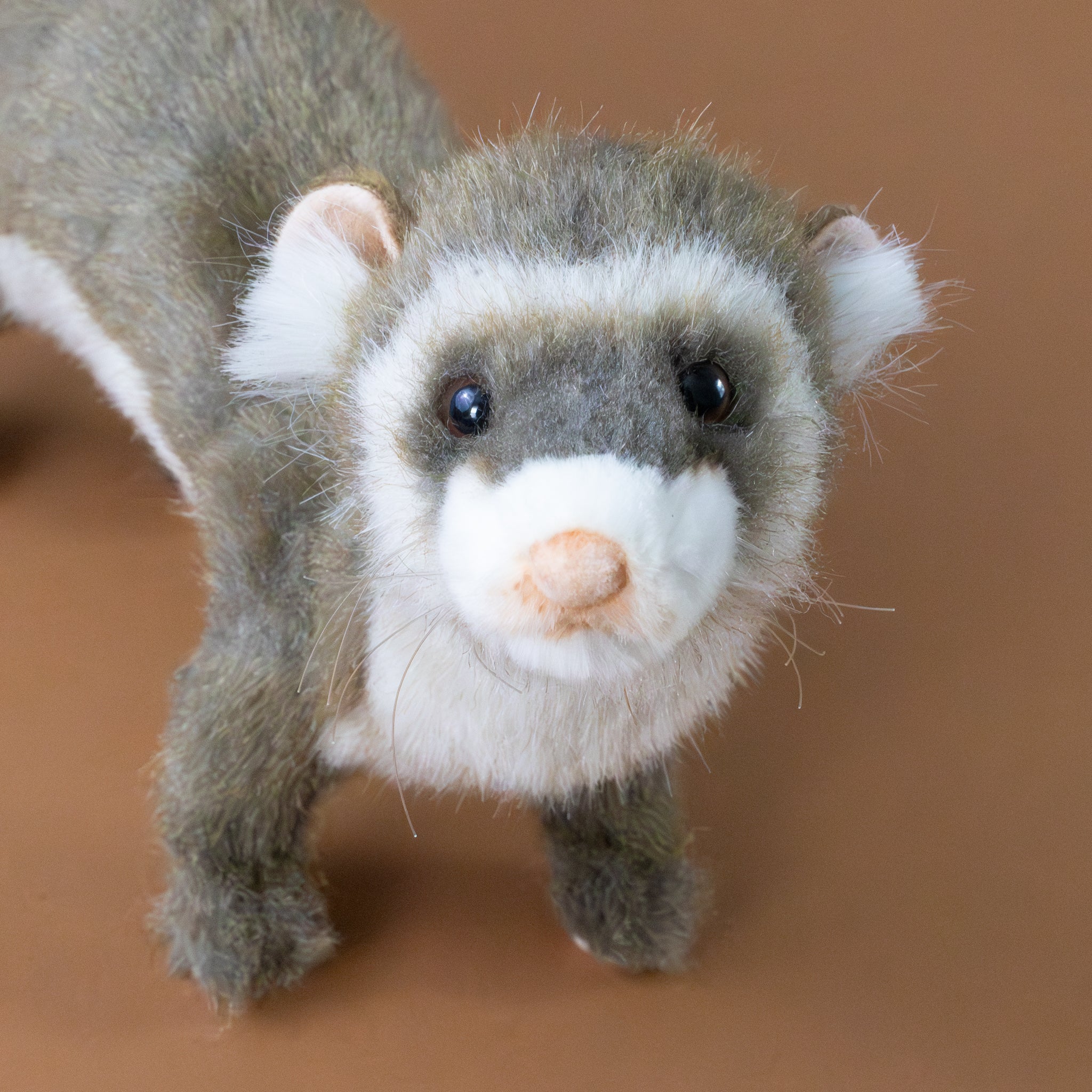 ferret-standing-brown-stuffed-animal-face