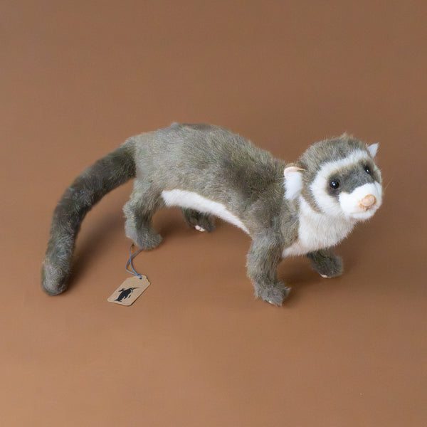 ferret-standing-brown_grande.