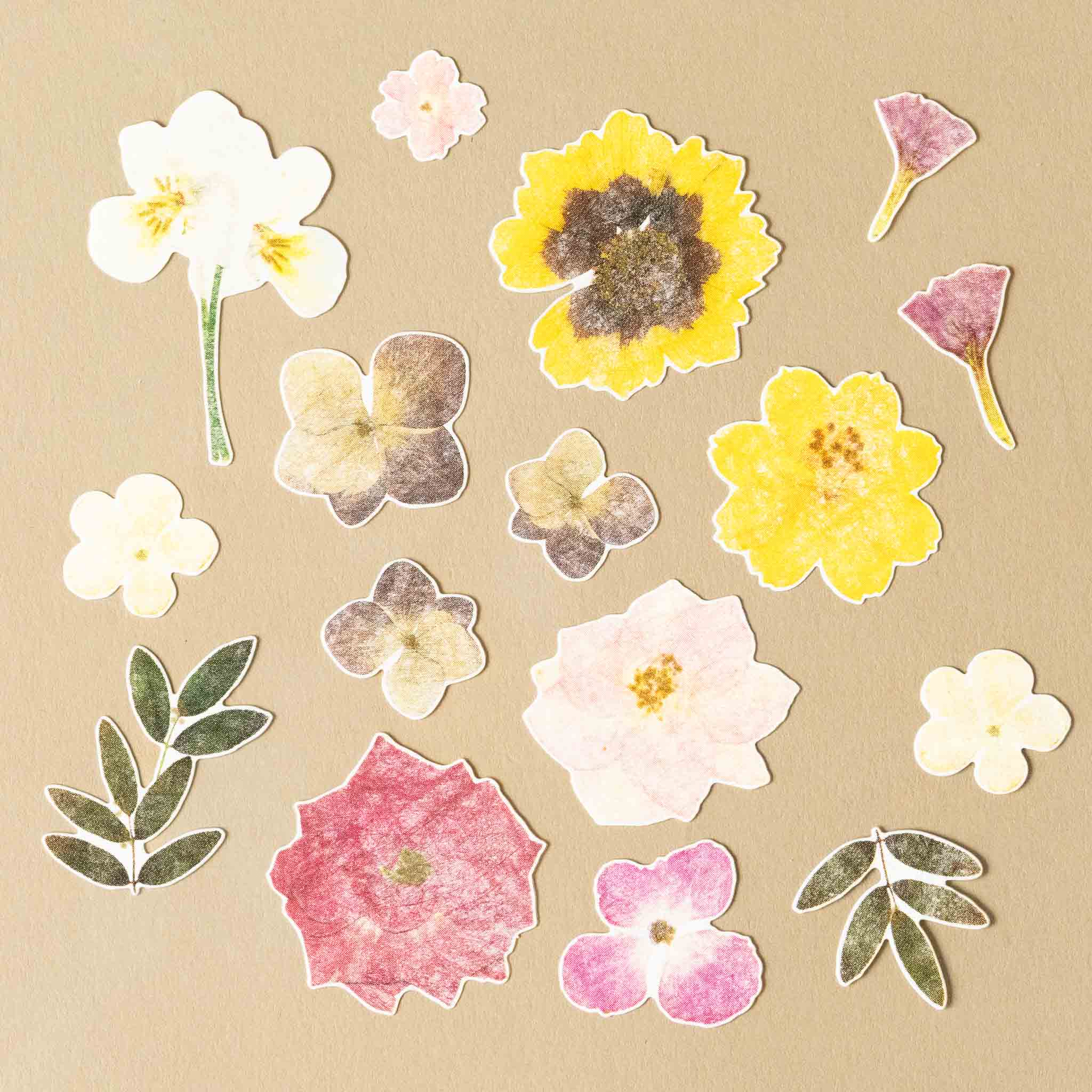 Set of pressed flower and leaf stickers on a beige background