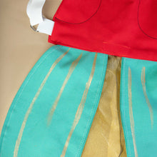 Load image into Gallery viewer, costume-detail-showing-red-shell-with-green-and-gold-wings