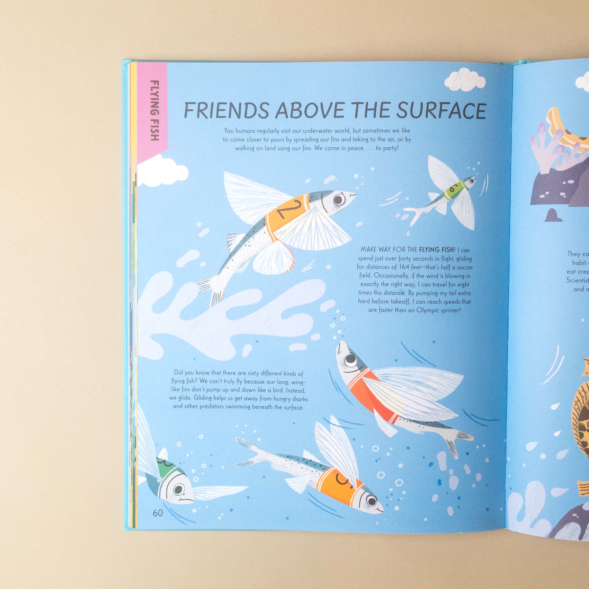 An open children's book spread showing a colorful page about flying fish, with illustrated fish, text, and a pastel cover edge on a light beige background.