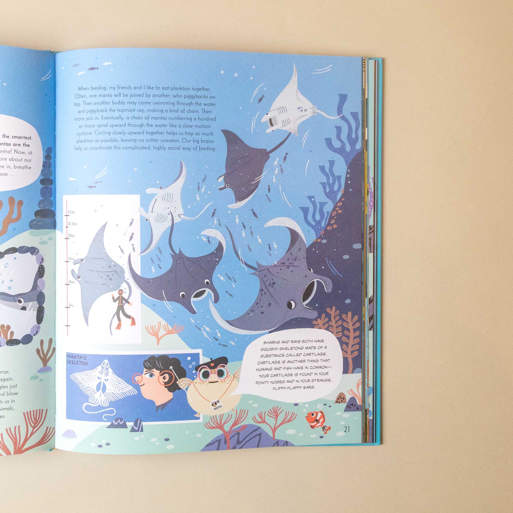 An open children's book spread showing colorful underwater illustrations of sea turtles, rays, and a shark, photographed against a plain beige background.