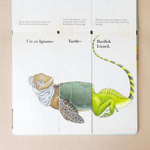 interior-page-with-iguana-turtle-and-lizard-sections-and-text