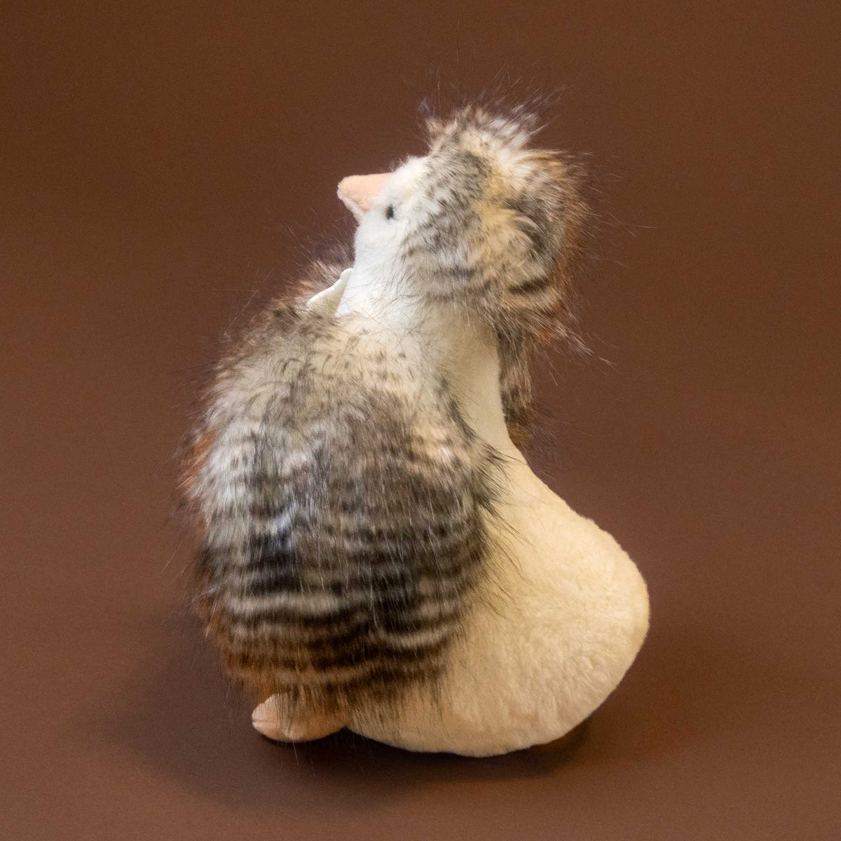 floofy-chicken-blanche stuffed animal