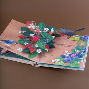 pop-up-page-bird-and-strawberry-patch