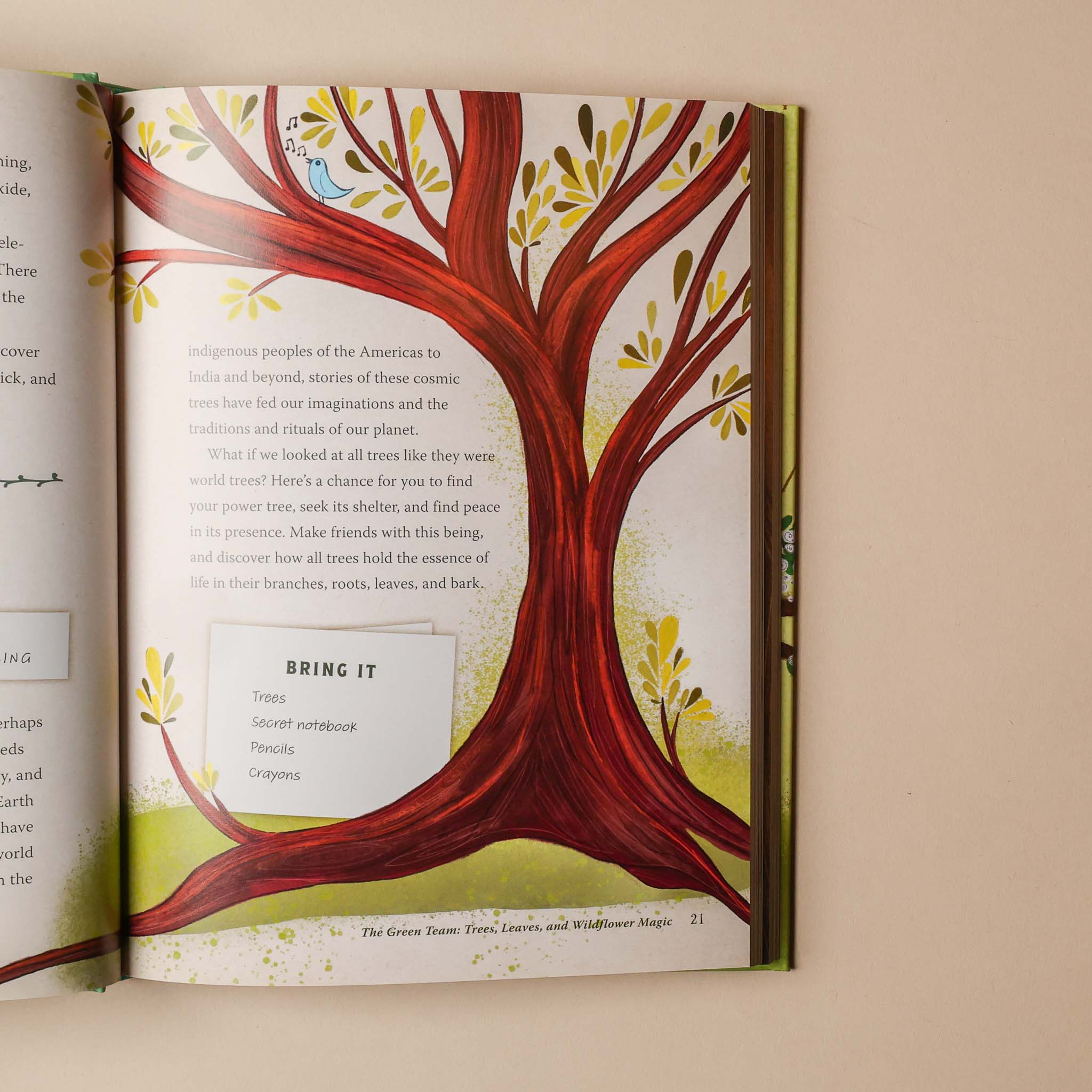Open forest-magic-for-kids-activity-book with a colorful tree illustration on a beige background