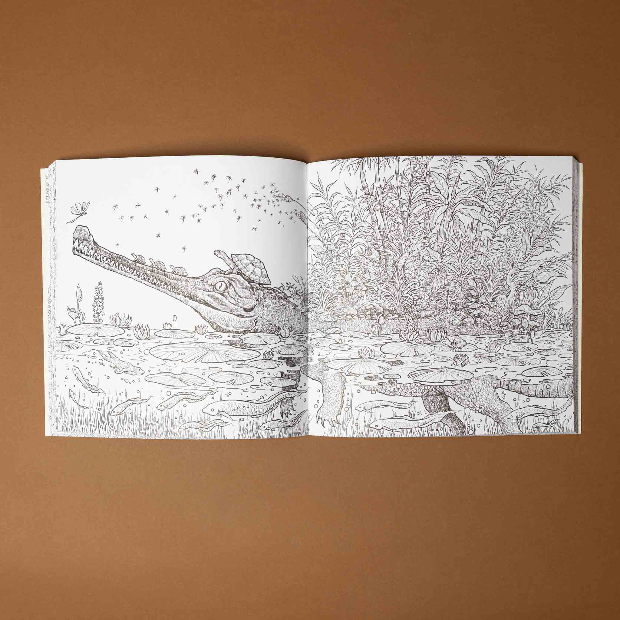 fragile-world-coloring-book-color-natures-wonders-with-a-alligator-in-a-marsh