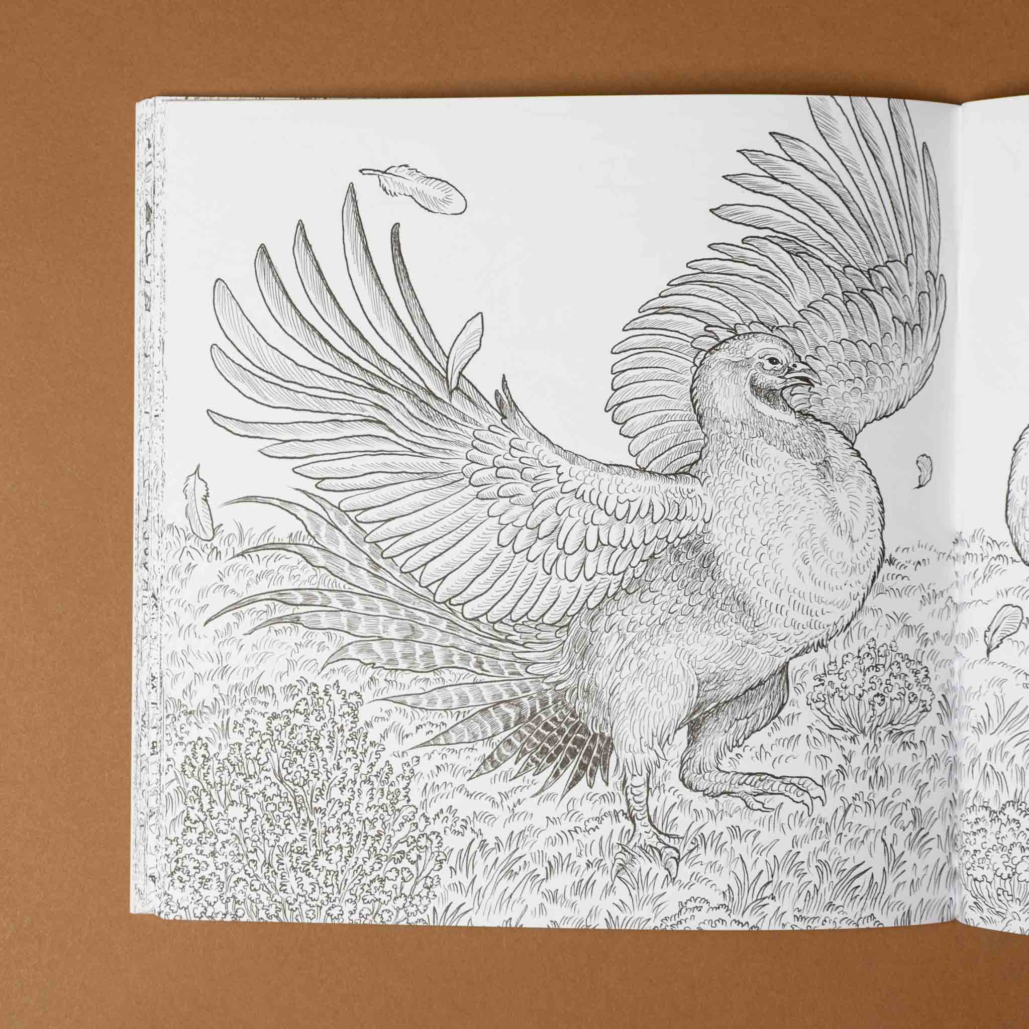 fragile-world-coloring-book-color-natures-wonders-page-with-a-rooster-showing-off-his-wings