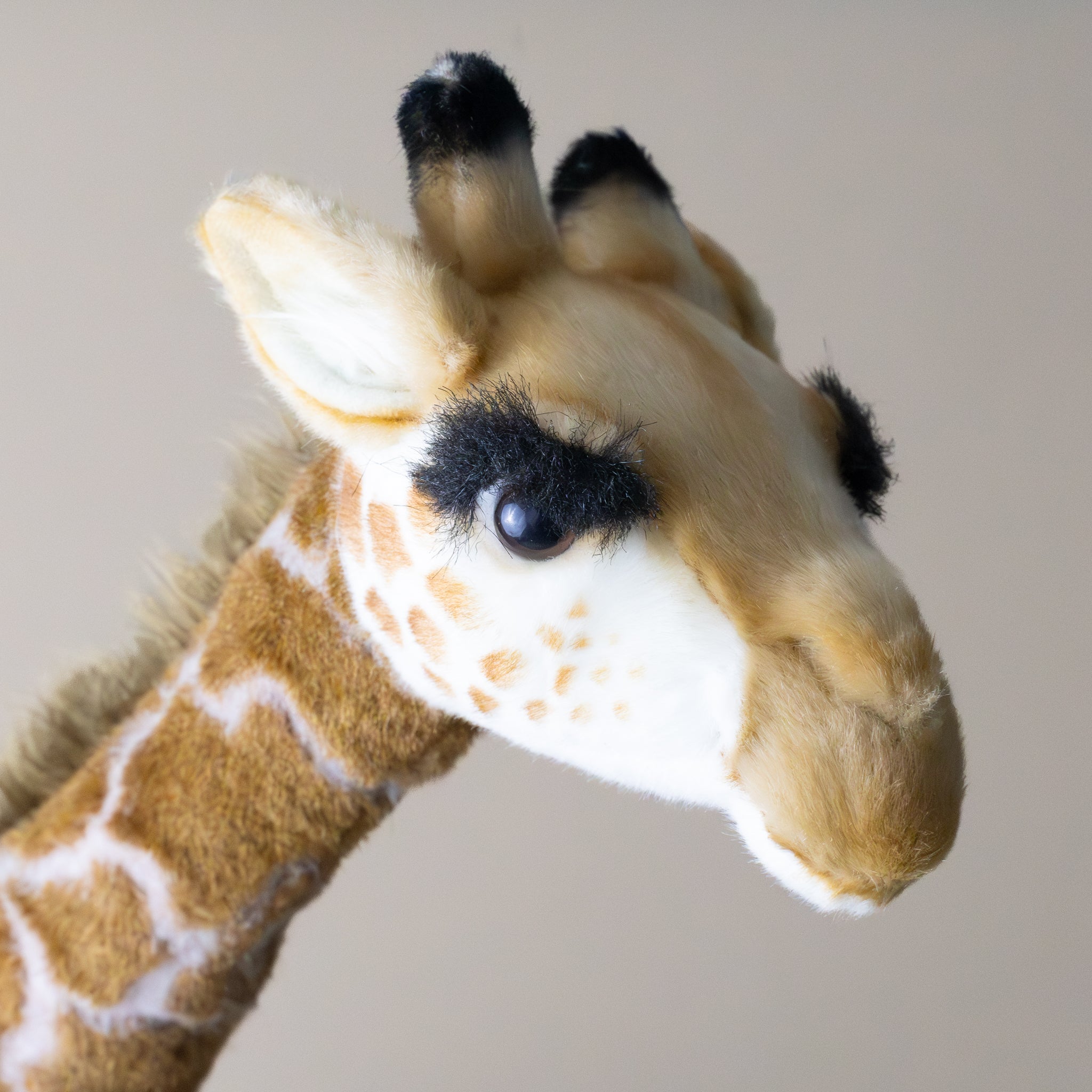 giraffe--standing-stuffed-animal-face-with-big-black-eyelashes