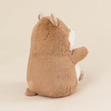 Load image into Gallery viewer, gordy-guinea-pig-back-with-tail