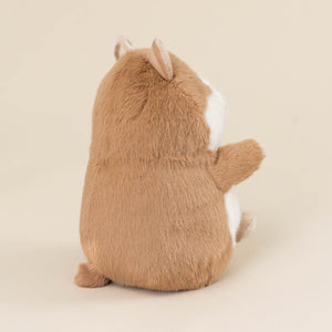 gordy-guinea-pig-back-with-tail