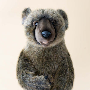 grizzly-bear-standing-small-with-wrapped-arms-and-bark-colored-fur-face-with-brown-snout-black-nose-bright-eyes-and-open-mouth-stuffed-animal