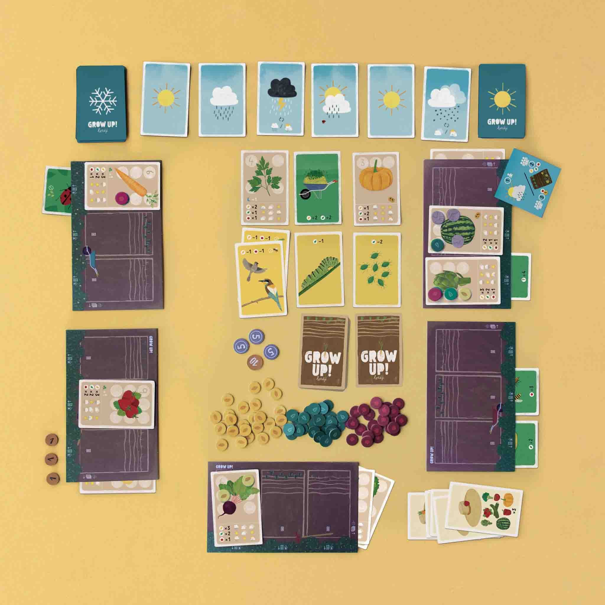 grow-up-a-game-about-life-game-boards-and-cards-with-playing-pieces